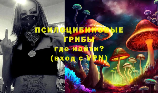 mdma Грязовец