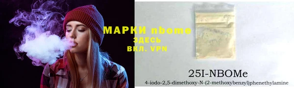 индика Рославль