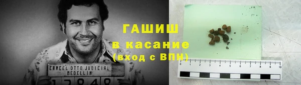 хмурый Губаха