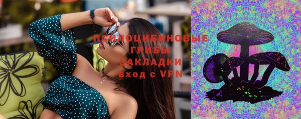 индика Рославль