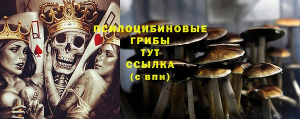 наркотики Абаза