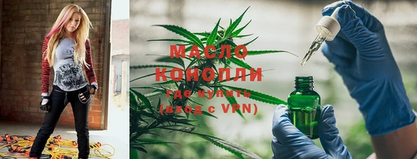 индика Рославль