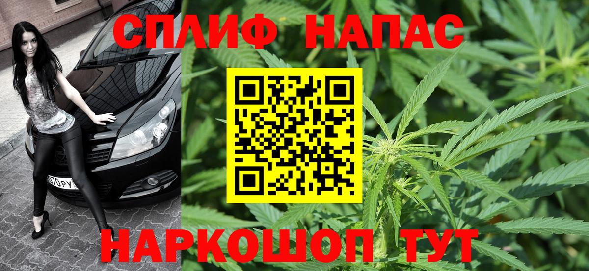 Канабис план Сафоново